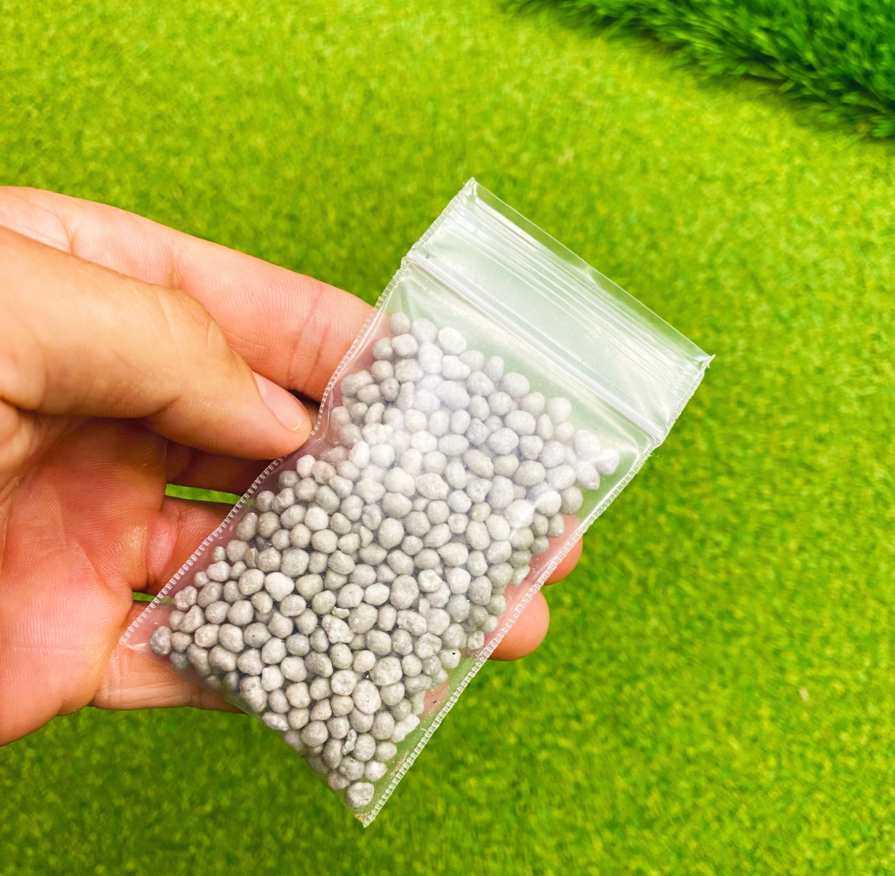 1 year fertilizer - Image 3
